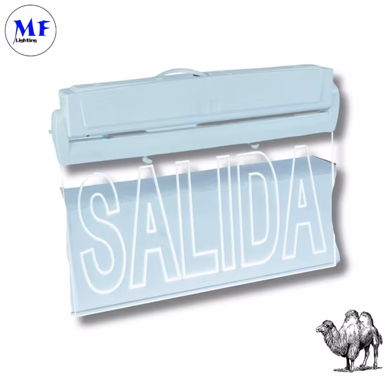 Emergency LED Light Exit Sign for Public Place