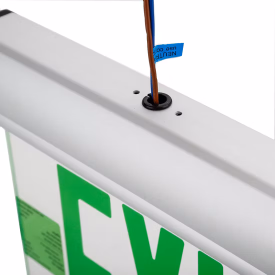 Panneau de sortie en acrylique pour lumière de secours à LED au plafond fixé au mur