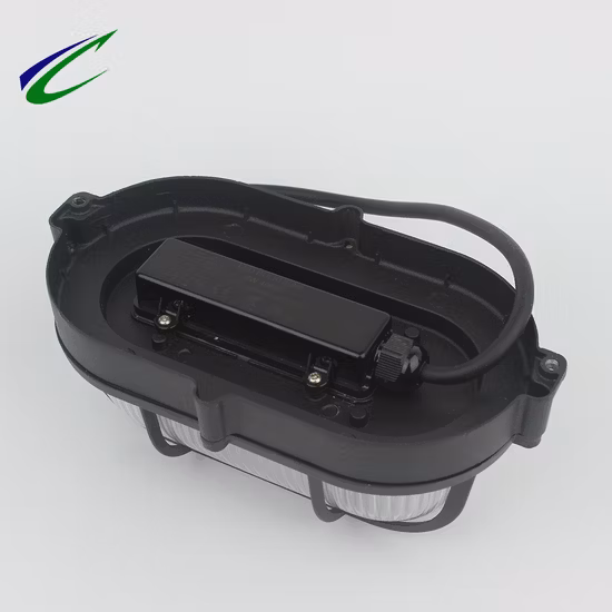 Projecteur LED noir à économie d'énergie ellipsoïde pour l'extérieur